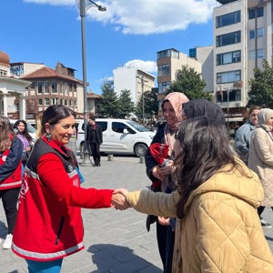 Birlik ve Beraberliğin En Güzel Kareleri: 8 Nisan Dünya Romanlar Günü’nü Coşkuyla Kutladık - fotoğraf 14