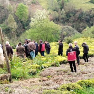 Merhume Ayşe Gülten Son Yolculuğuna Uğurlandı - fotoğraf 2