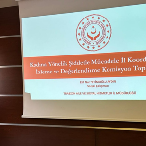 Kadına Yönelik Şiddetle Mücadele İl Koordinasyon, İzleme Ve Değerlendirme Komisyonu Toplantısı Gerçekleştirildi. - fotoğraf 1