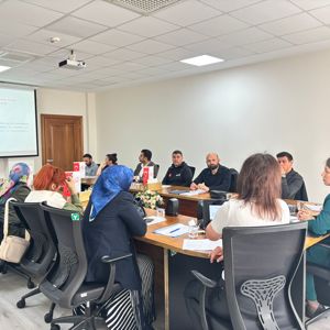 Psikososyal Destek Koordinasyon Toplantısı Gerçekleştirildi - fotoğraf 2
