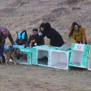 Gönüllülerden Sokak Hayvanlarını Isıtan Etkinlik - fotoğraf 1