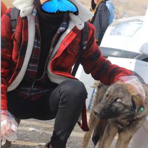 Gönüllülerden Sokak Hayvanlarını Isıtan Etkinlik - fotoğraf 7