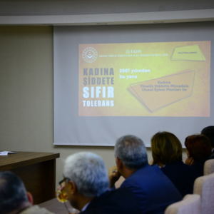 Sayın Valimiz Mutafa MASATLI'nın başkanlığında Kadına Yönelik Şiddetle Mücadele 2020-2021 Eylem Planı bilgilendirme toplantısı yapıldı. - fotoğraf 3