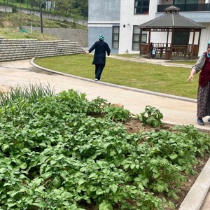 🌱 Huzurevimizde Fideler Umuda Dönüştü - fotoğraf 2