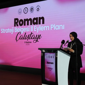 Roman Strateji Belgesi İl Eylem Planı Çalıştayı Sertifika Töreni ile Tamamlandı - fotoğraf 12