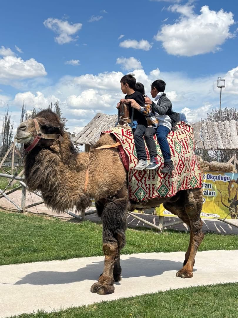 Çocuklarımızın Hafta Sonu Etkinlikleri - fotoğraf 2