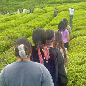 Rize’nin Çeçeva Çay Köyü’ne Gezi Etkinliği Düzenlendi. - fotoğraf 2