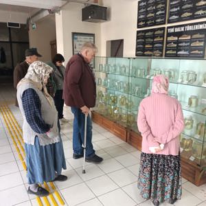 Büyüklerimiz Akvaryumu Ziyaret Etti - fotoğraf 2