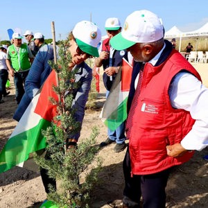 İl Müdürümüz Gazze Hatıra Ormanı Fidan Dikim Törenine Katıldı - fotoğraf 4
