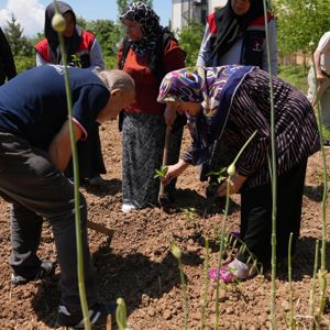 Ata Tohumları Toprakla Buluşturuldu. - fotoğraf 3