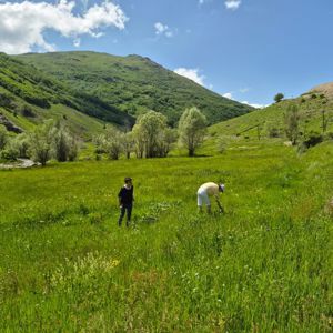 Doğayla İç İçe, Sevgiyle Bir Arada: Engelli Bireyler Sarıçiçek Köyü'nde Güzel Anılar Biriktirdi. - fotoğraf 2