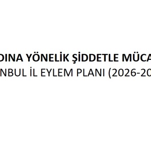 V. Kadına Yönelik Şiddetle Mücadele İstanbul İl Eylem Planı (2026-2030) - fotoğraf 1