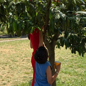 02.07.2026 Tarihinde Sera Gölü Parkı'nda Piknik Etkinliği Düzenlendi. - fotoğraf 1