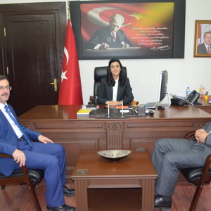 Reşadiye ve Başçiftlik İlçelerimizde Sosyal Destek Hızır Tokat Projesi 2019 Yılı Değerlendirmesi Yapıldı - fotoğraf 1