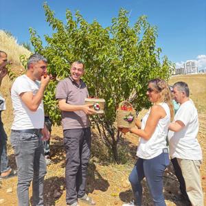 Üreterek Öğreniyor, Birlikte Hasat Ediyoruz - fotoğraf 4