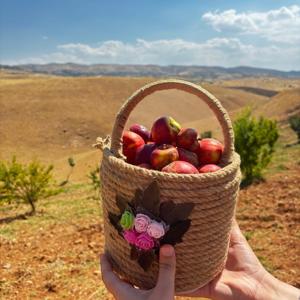 Üreterek Öğreniyor, Birlikte Hasat Ediyoruz - fotoğraf 1