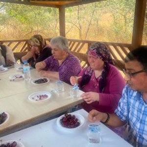“Emekten Meyveye” İlk Hasat Heyecanı  - fotoğraf 4