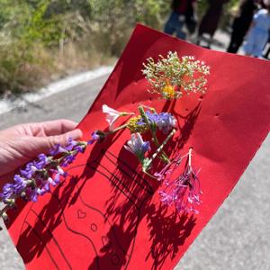 Özel Bireylerimizle Renkli ve Keyifli Bir Etkinlik - fotoğraf 3