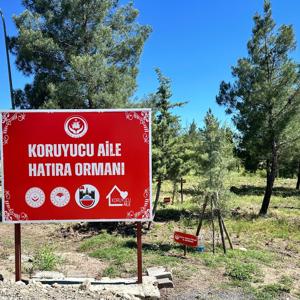 Koruyucu Aile Hatıra Ormanında İncelemelerde Bulunuldu - fotoğraf 1