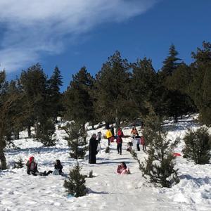 Çocuk Evleri Koordinasyon Merkezimiz Çocuklarımız için Kar Gezisi Düzenledi - fotoğraf 7