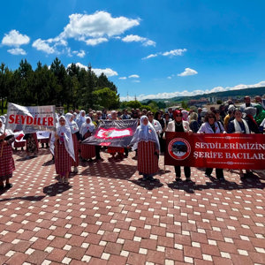 Milli Mücadele’nin Kadın Kahramanı Şehit Şerife Bacı, Seydiler’de Rahmet ve Minnetle Anıldı - fotoğraf 3