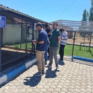 Çocuk Evleri Sitesi Müdürlüğümüzde Piknik Etkinliği  - fotoğraf 3