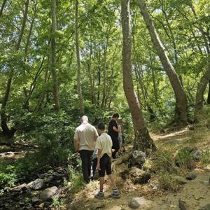 🌿 Doğayla İç İçe, Mutluluk Dolu Bir Gün - fotoğraf 1