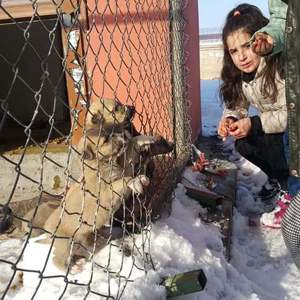 Kalbinde Merhamet Olmayana Cennet Yoktur - fotoğraf 10