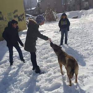 Kalbinde Merhamet Olmayana Cennet Yoktur - fotoğraf 11