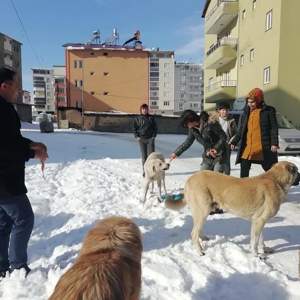 Kalbinde Merhamet Olmayana Cennet Yoktur - fotoğraf 14