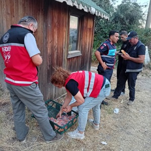 Altınoluk’taki Orman Yangınından Etkilenen Vatandaşlarımıza Psikososyal Destek - fotoğraf 2