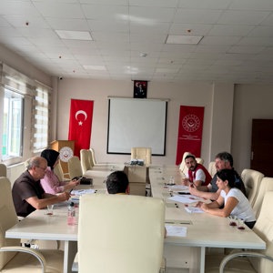 Engelli Bireylerin Haklara Erişimi İçin Kurumlar Arası İş Birliği Güçleniyor - fotoğraf 1