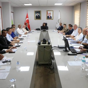 Ailenin Korunması ve Güçlendirilmesi İl Koordinasyon Kurulu İkinci Toplantısını Gerçekleştirdik - fotoğraf 2
