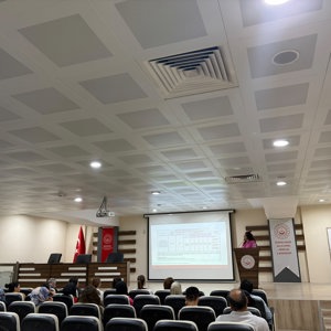 Kadına Yönelik Şiddetle Mücadelede Tematik Toplantı Gerçekleştirildi - fotoğraf 2