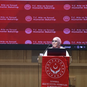 Kadına Yönelik Şiddetle Mücadelede Ortak ve Kararlı Adımlar - fotoğraf 2