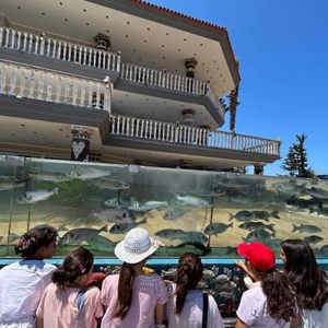Çeşme’de Unutulmaz Bir Gençlik Kampı! - fotoğraf 4