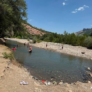 Güzel Bir Yaz Günü! - fotoğraf 2