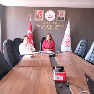 Çocuk Hizmetleri Genel Müdürlüğümüz Başkanlığında Nakil ve Tertip Süreçlerine İlişkin Çevrim İçi Toplantı Düzenlendi - fotoğraf 1