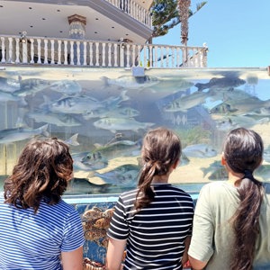 ÇEŞME KAMPI - fotoğraf 3