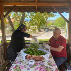 Huzurevi Sakinlerimizden Hobi Bahçesinde Anlamlı Çalışmalar. - fotoğraf 1