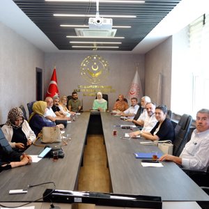 Engelliliğin Ana Akımlaştırılması ve İyi Uygulama Örnekleri İstişare Edildi - fotoğraf 1