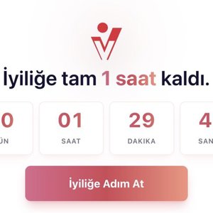 İyilik Var: Türkiye Gönüllülük Programı” Dijital Dünyada Hizmete Açıldı - fotoğraf 2