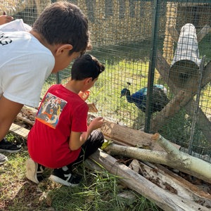 İl Müdürümüz Selim KÖSE ve kıymetli eşi Gülten KÖSE Hanımefendi, Şehit Enes Özgül Çocuk Evleri Koordinasyon Merkezimize bağlı çocuk evlerinde hizmet alan çocuklarımızın katılımıyla, Çocuk Evleri Koordinasyon Merkezimiz ve KİMO Tekstil Fabrikası iş birliğinde gerçekleştirilen “Yaza Veda, Okula Merhaba” etkinliğine katıldı. - fotoğraf 10
