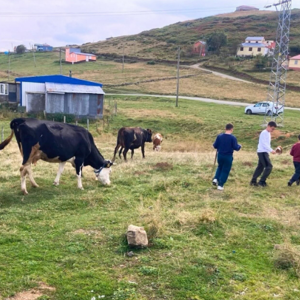 27 Eylül 2026 Pazar Günü Trabzon’un Düzköy İlçesine Bağlı Beypınarı Yaylası’na Gezi Düzenlendi. - fotoğraf 3