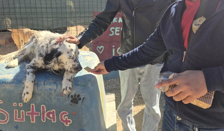 Yozgat Çocuk Evleri Sitemizdeki Çocuklarımızla "Renkli Patiler" Etkinliği 