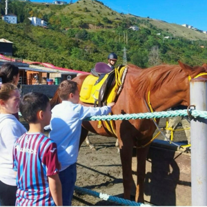 Sera Gölü Hayal Vadisi’nde Bulunan At Çiftliğine Gezi Gerçekleştirildi. - fotoğraf 3