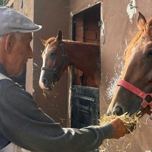 🐎 Kıymetli Büyüklerimizden At Çiftliğine Keyifli Ziyaret - fotoğraf 1