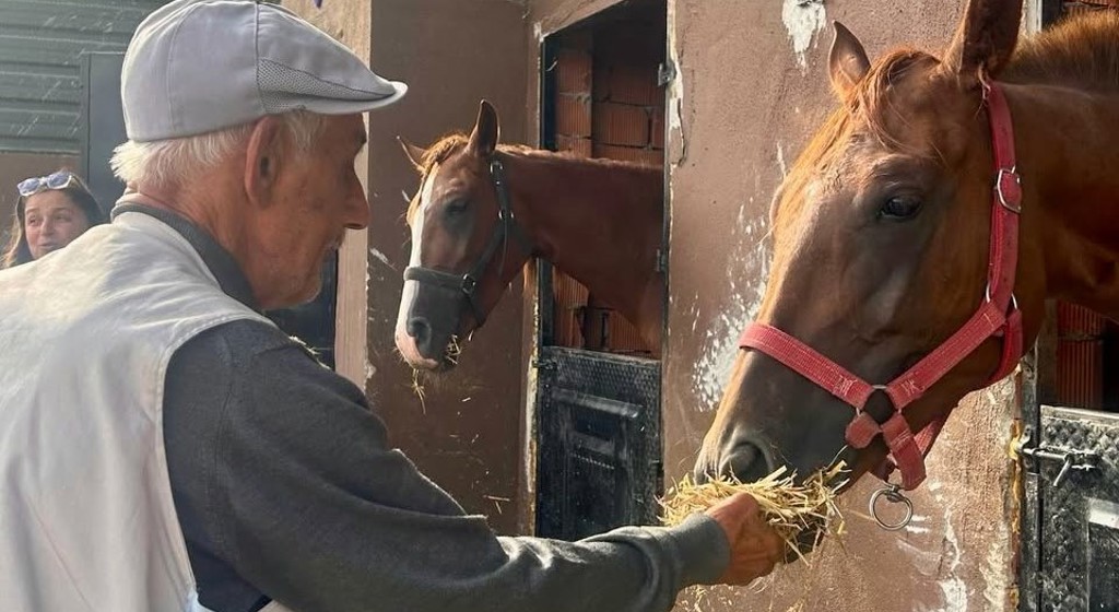 🐎 Kıymetli Büyüklerimizden At Çiftliğine Keyifli Ziyaret