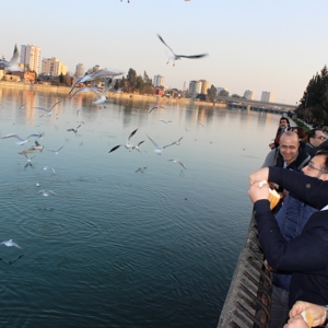 “Çocuk Vizyon Belgesi Adana Bölge Çalıştayı” Devam Ediyor - fotoğraf 17