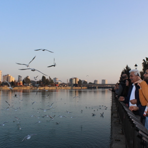 “Çocuk Vizyon Belgesi Adana Bölge Çalıştayı” Devam Ediyor - fotoğraf 18